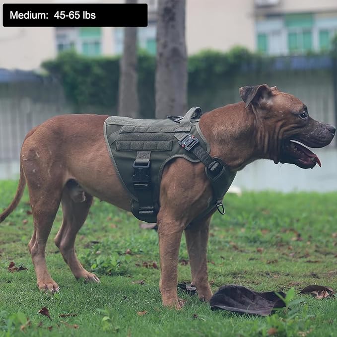 ICEFANG Tactical Dog Harness,Medium Size, 2X Metal Buckle,Working Dog MOLLE Vest with Handle,No Pulling Front Leash Clip,Hook and Loop Panel