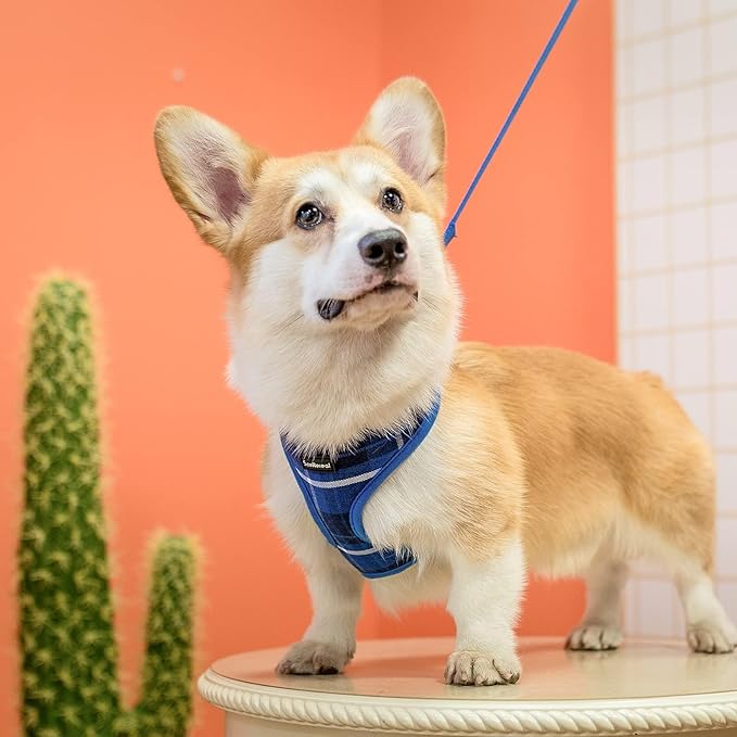 SCENEREAL Puppy Dog Harness with Leash Set for Small Medium Sized Dogs, Soft Mesh Step in Pet Harnesses and Leash, No Chock Plaid Adjustible No Pull Vest for Dogs Cats, Chihuahua,Bulldog (Blue XS)