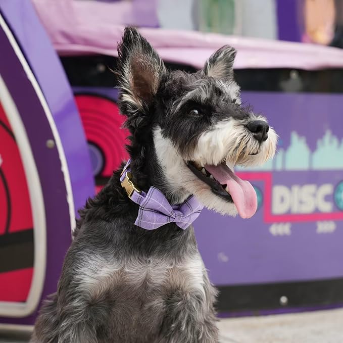 Beirui Cute Small Dog Harness Collar and Leash Set with Bowtie, Soft Adjustable Plaid Puppy Harness for Small Sized Dogs Cats Walks Parties and Photoshoots(Purple,XXS:Chest 12-14")