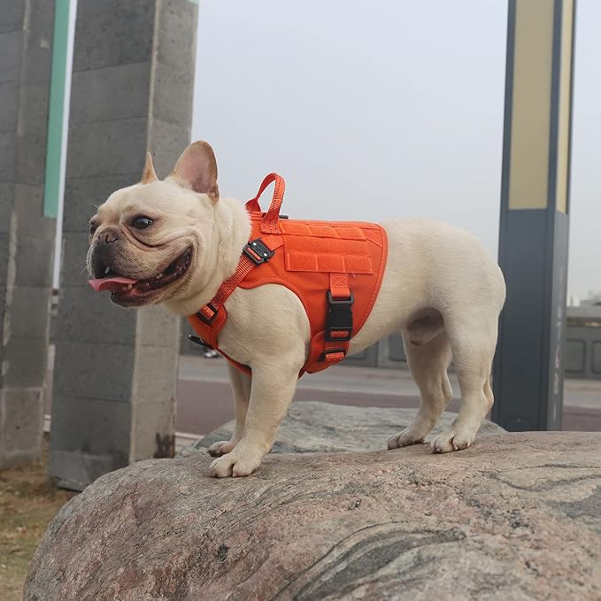 ICEFANG Tactical Dog Harness, Small Size,2X Metal Buckle,Working Dog MOLLE Vest with Handle,No Pulling Front Leash Clip,Hook and Loop Panel