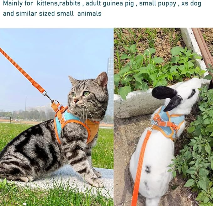 Bunny Harness and Leash Set Reflective Strip Kitten Vest Harness Escape Proof Rabbit Leash Walking Pet Accessories for Small Cat XXS Dog Guinea Pig and Small Animals (Orange, Medium)