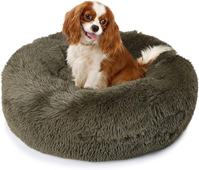 Calming Dog Beds for Small Dogs Washable Donut Puppy Bed with Anti-Anxiety Fits up to 15 lbs Pets,23 Inches Green