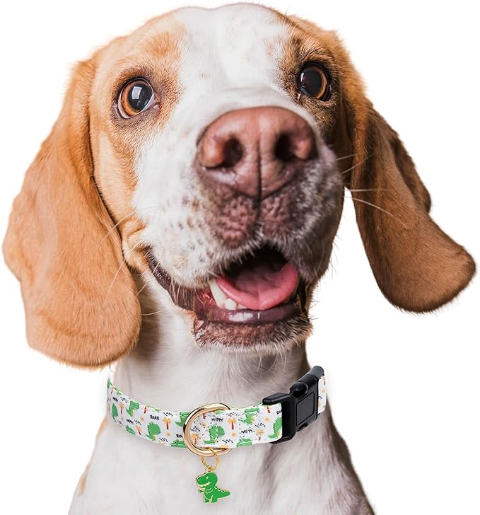 Cotton Dog Collar,Adjustable Cute Puppy Collar with Moon Patterned Design for Small Medium Large Dogs,Soft and Fancy Pet Collar with Safety Buckle for Girl Boy Dogs (Green Dinosaur, Medium)