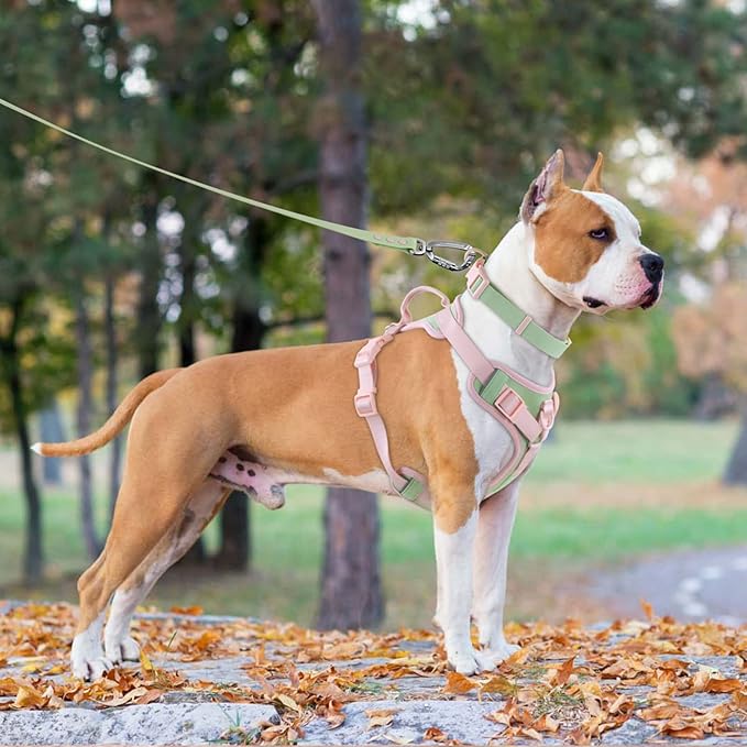 No Pull Dog Harness Adjustable Soft Padded Pet Vest with Control Handle Adorable Daily Harness for Dogs（Mint Green L）