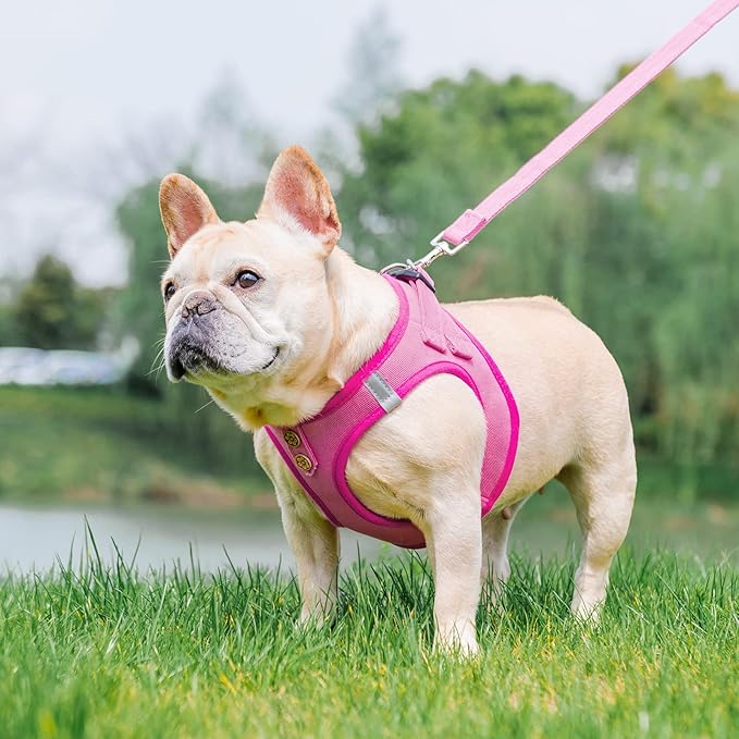 PUPTECK Dog Harness and Leash Set for Small Medium Dogs No Pull Step-in Soft Mesh Puppy Cat Vest Harnesses Reflective at Night, Denim Pink S