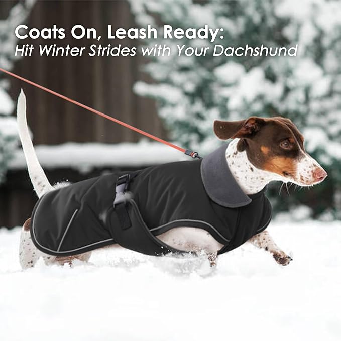 Dachshund Coat Reflective Dachshund Jacket - Black,Small - Waterproof Dachshund Clothes for Winter, Dog Winter Coat with Fleece Lining, Dachshund Coat Harness Hole Adjustable Buckle Closure