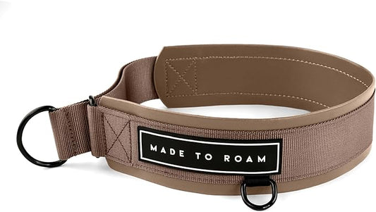 MADE TO ROAM Premium Everyday Dog Collar - Martingale Style No Pull Vegan Leather Collar, Heavy Duty and Lightweight for Small, Medium, Large Dogs (Utah Glow, Size 8)
