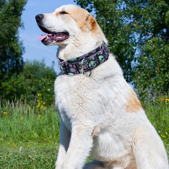 Martingale Dog Collar 1.5 Inch Wide - Heavy Duty Skull Design for Large Dogs, Adjustable Training Collar for Walking, Hunting, and Outdoor Activities - Perfect for Boys and Girls (L)