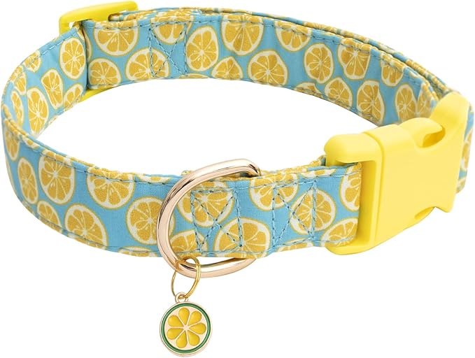 Faygarsle Cute Dog Collar for Girls Boy Dogs Soft Fancy Pet Collar with Lemon Design Ideal Yellow Green Summer Dog Collar for Small Medium Large Dogs L