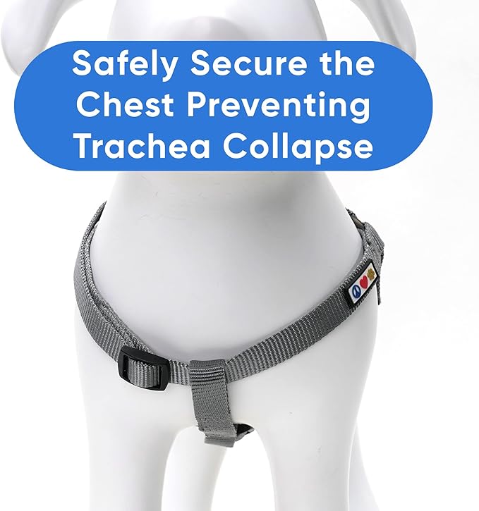 Pawtitas Solid Color Step-in Dog Harness - Grey, Large, for Puppy & Dog Training & Walking