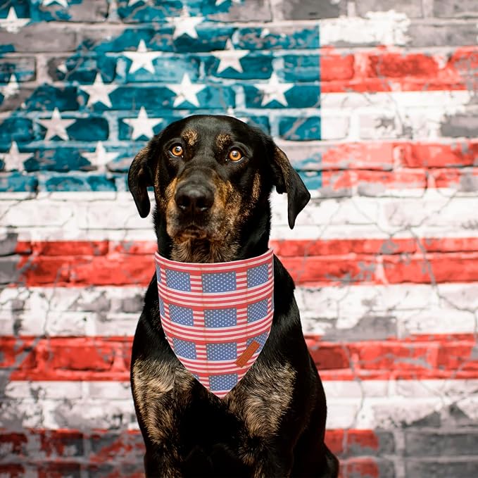PTDECOR American Flag Dog Bandana Flag Stars Patterns, Patriotic Pet Scarf Reversible Triangle 4th of July Bandanas for Medium Large Dogs Pets (Large)