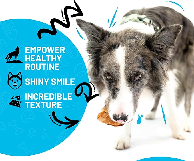 Sitka Farms Beef Knee Caps Smoked Premium Dog Bones - 6 Count - 100% Natural Long Lasting Low Fat Bone - High Protein Dog Treats for Aggressive Chewers - Meaty Bone