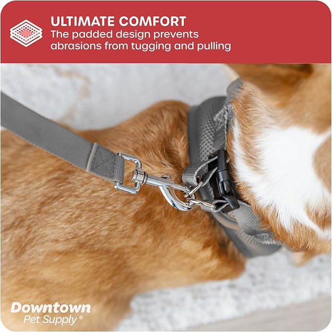 Downtown Pet Supply Step in Dog Harness for Small Dogs No Pull, Medium, Light Gray - Adjustable Harness with Padded Mesh Fabric and Reflective Trim - Buckle Strap Harness for Dogs