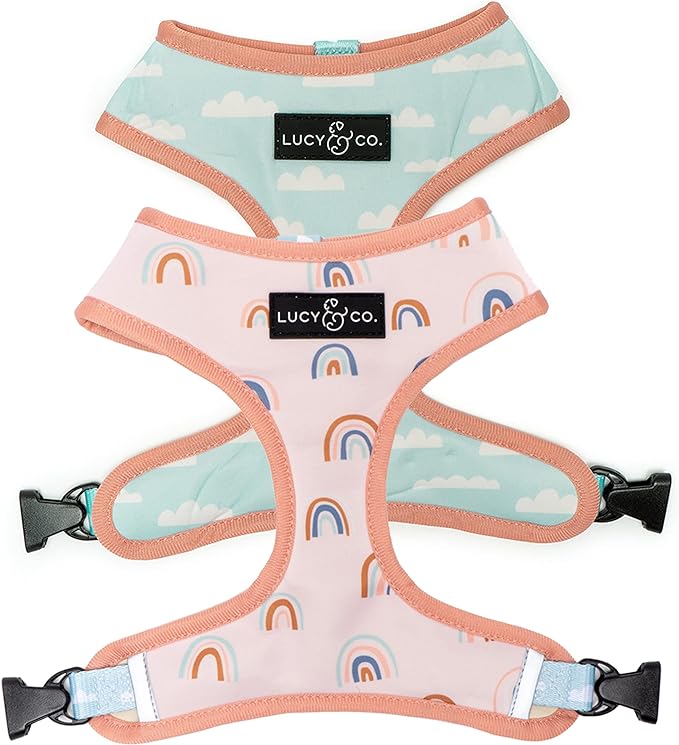 Lucy & Co. in The Clouds, Cute Reversible Dog Harness Walking Halter - Best Designer Pet Harnesses for Medium Dogs - Padded Adjustable Vest for Easy Walking (Small)