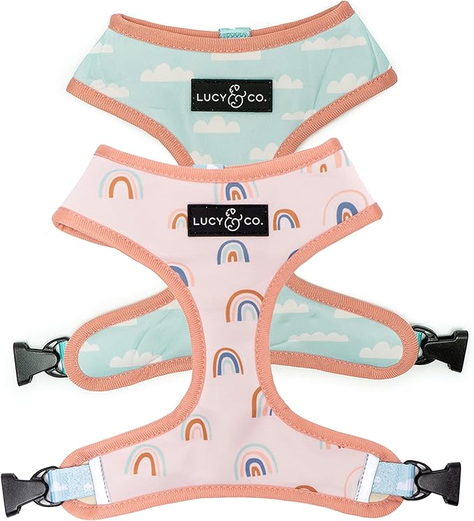 Lucy & Co. in The Clouds, Cute Reversible Dog Harness Walking Halter - Best Designer Pet Harnesses for Medium Dogs - Padded Adjustable Vest for Easy Walking (Large)