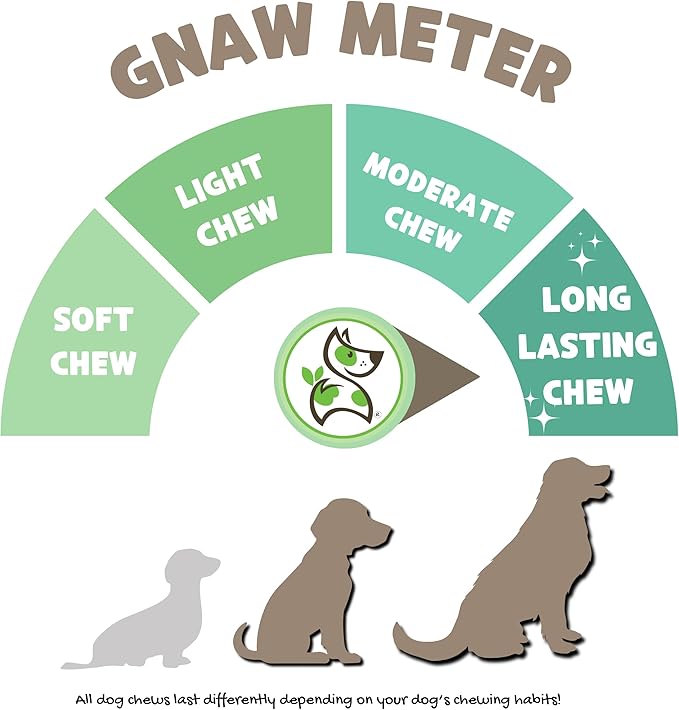 Nature Gnaws Large Bully Sticks for Dogs 5-6" (3 Count) - Thick Long Lasting for Aggressive Chewers and Large Dogs - Natural Beef Dog Chew Bones