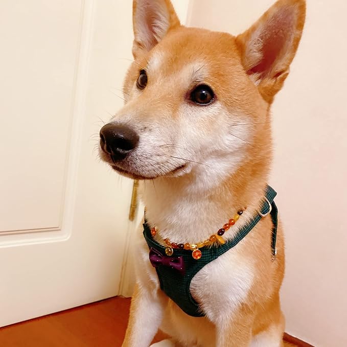 Puppytie No Pull Small Dog Harness with Multifunction Dog Leash,Lightweight Soft Adjustable No Choke Escape Proof Pet Harness Vest Pet Harness Vest,Plaid Green,S