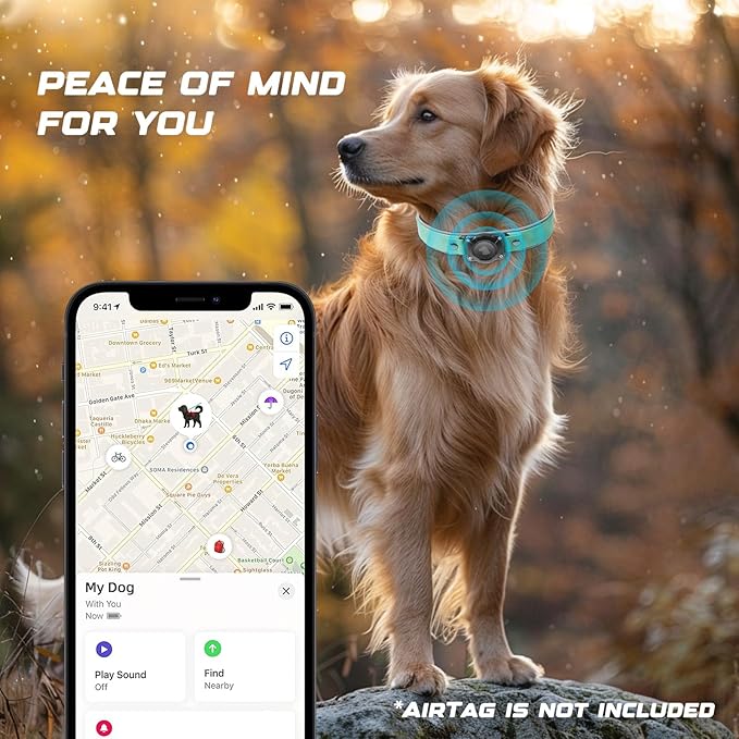 AirTag Dog Collar - Leather Dog Collar with Air Tag Holder | IPX8 Waterproof, Reflective, High - End, Adjustable Soft Padded | Dog GPS Tracker Collars Fit for Medium Large Dogs (Teal, XL)