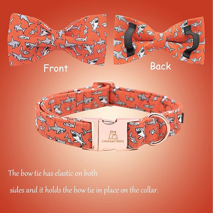 Lionheart Glory Shark Print Bow Collar - Adjustable for Small Dogs for Boys or Girls
