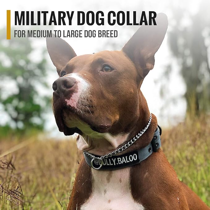 OneTigris Military Adjustable Dog Collar with Metal D Ring & Buckle 2 Sizes (Coyote Brown, M)