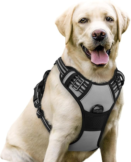 rabbitgoo Dog Harness No Pull with 2 Leash Clips, Adjustable Soft Padded, Reflective Oxford No Choke Pet Vest with Easy Control Handle for Large Dogs, Grey, L