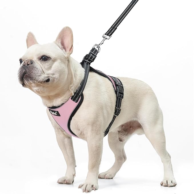 PUPTECK Dog Harness and Leash Set for Small Medium Sized Dogs, No Pull Dog Harness for Walking Training, Adjustable Reflective Puppy French Bulldog Frenchie Harness Soft Padded Vest, Pink, M