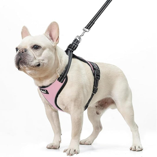 PUPTECK Dog Harness and Leash Set for Small Medium Sized Dogs, No Pull Dog Harness for Walking Training, Adjustable Reflective Puppy French Bulldog Frenchie Harness Soft Padded Vest, Pink, M