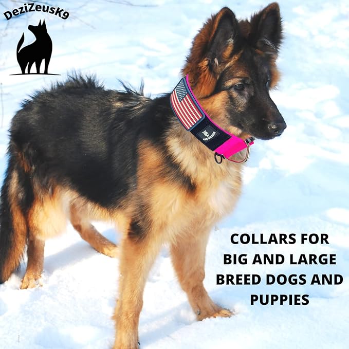 Tactical Dog Collar 2 Inch Wide Thick Heavy Duty Military Style with Metal Buckle, Adjustable for Medium - Large Breeds, Durable K9 Training Gear with Patch Area, USA Flag Patch, Strong and Secure Fit