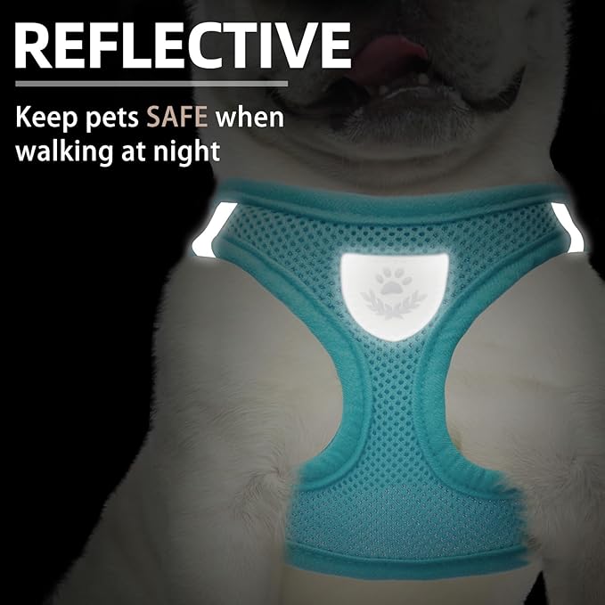 PUPTECK Adjustable Dog Harness Collar and Leash Set Step in No Pull Pet Harness for Small Medium Dogs Puppy and Cats Outdoor Walking Running, Soft Mesh Padded Reflective Vest Harnesses, Turquoise L