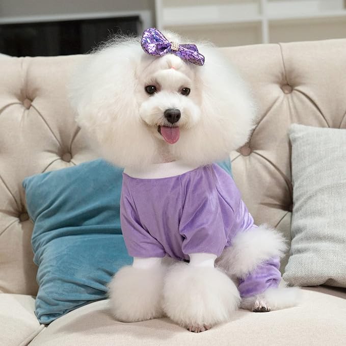 CuteBone Trend Letters Dog Pajamas Clothes Soft Puppy Pjs for Small Dogs P246S