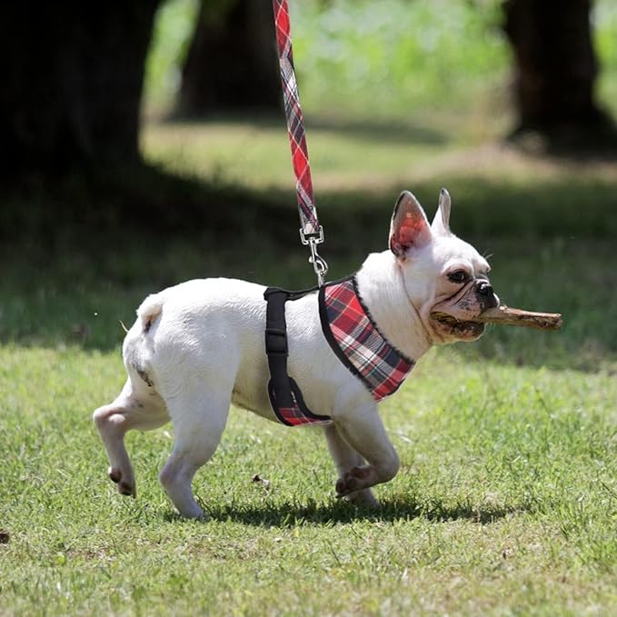 PUPTECK Soft Mesh Dog Harness and Leash Set Pet Puppy Cat Comfort Padded Vest No Pull Harnesses, Red Mixed, XS