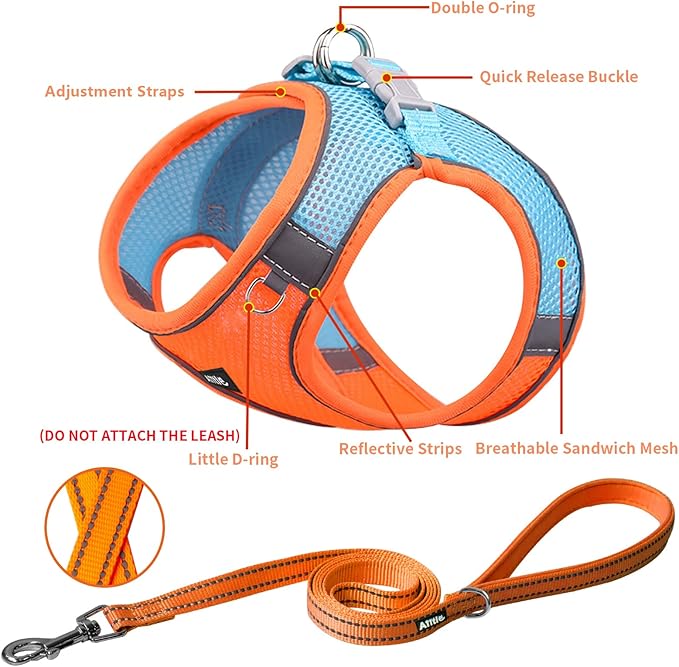 AIITLE Comfortable Dog Harness and Leash Set for Walking - Spring Step in Vest Harness,Reflective Bands, Adjustable No Pull Puppy Essentials, for Small Dogs and House Cats Orange XS