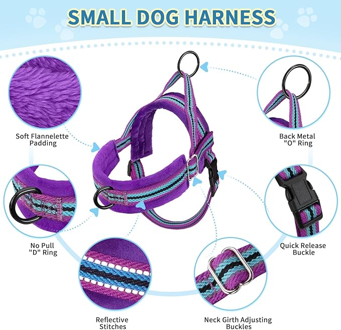 SlowTon No Pull Small Dog Harness and Leash Set, Puppy Soft Vest Harness Neck & Chest Adjustable, Reflective Lightweight & Anti-Twist Pet Lead Combo for Small Medium Dogs (PU-Front Clip, M)