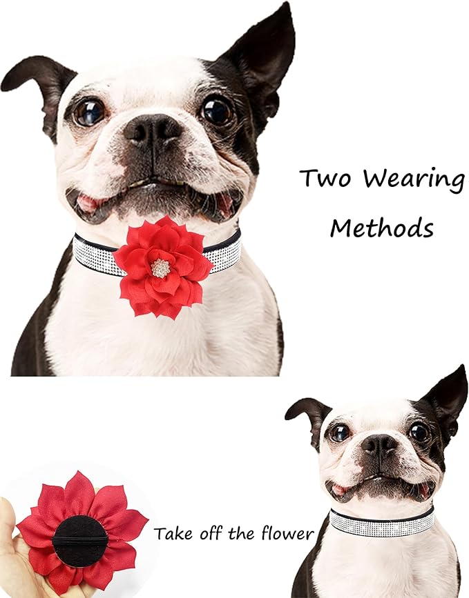 Dog Collar - Red Rhinestone for Small/Medium Dogs, Girls & Puppies - Summer/Spring Wedding Collar (Rose Red, XS)