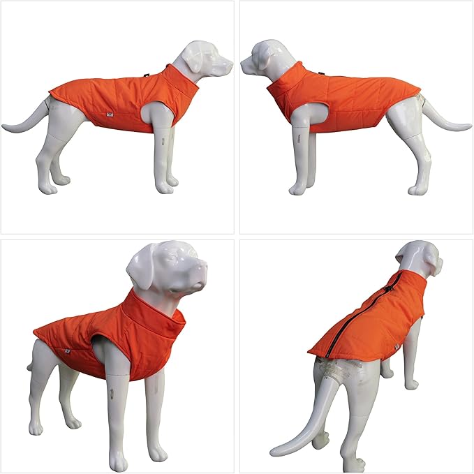Orange M Dog Winter Coat, Waterproof, Ultra Warm, Windproof, Zippered Jacket, Breathable, Soft Cotton Lining for Small, Medium, Large Dogs