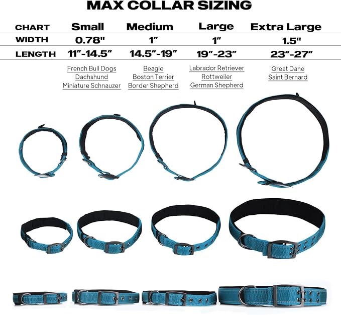 PetiFine Neoprene Padded Dog Collar, Heavy Duty Comfort Dog Collar with Durable Metal Buckle, Reflective Adjustable Belt Buckle Dog Collars for Small Medium Large Dogs(14.5''-19'', Blue)