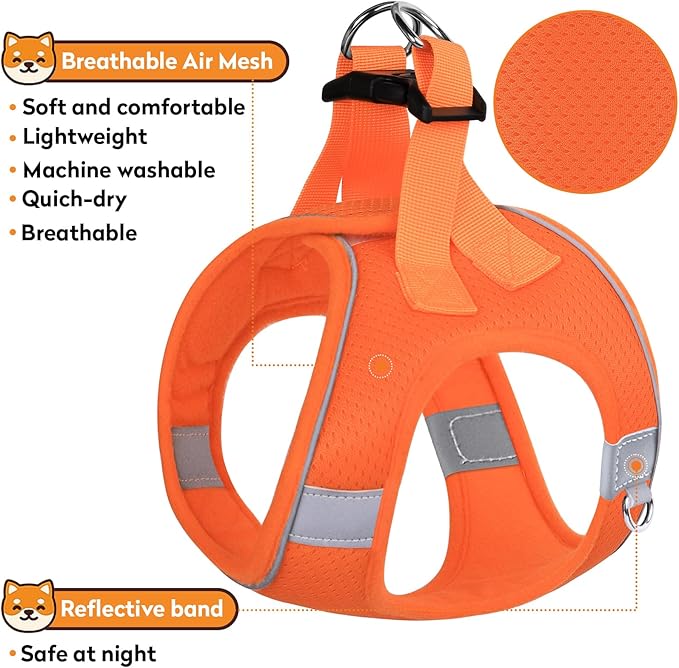Dog Harness with Leash Set, No-Pull Step-in Reflective Pet Harness with 1 Leash Clips, Adjustable Soft Padded Easy Walk Dog Vest for Small Medium Large Dogs, Cats(Bright Orange, XXSmall)