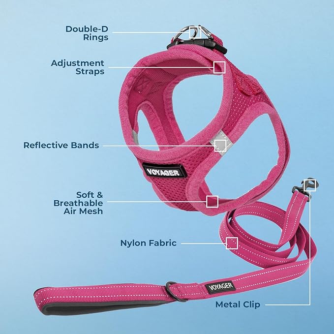 Voyager Step-in Air All Weather Mesh Harness and Reflective Dog 5 ft Leash Combo with Neoprene Handle, for Small, Medium and Large Breed Puppies by Best Pet Supplies - Set (Fuchsia), XL