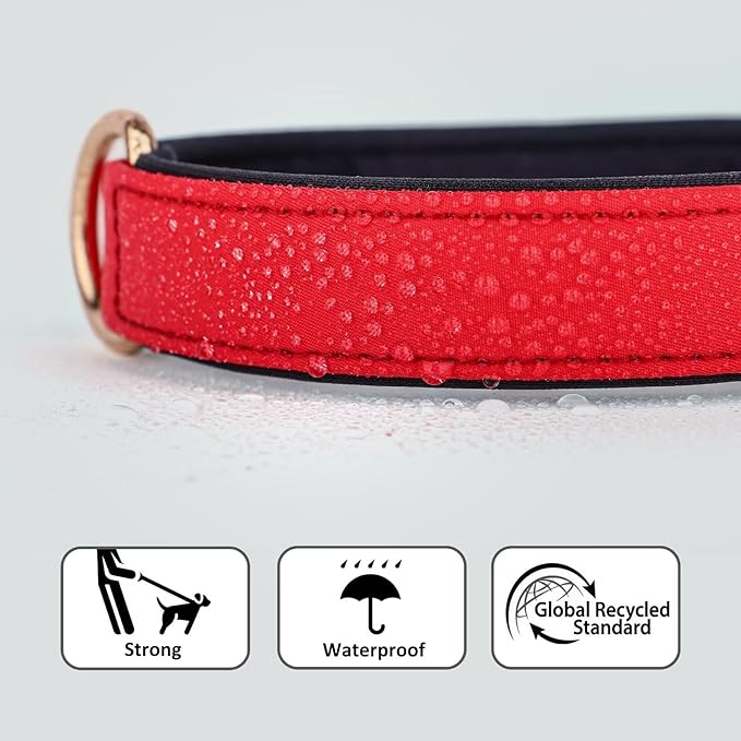 Didog Soft Padded Dog Collars for Medium Dogs, Lightweight and Breathable Dog Collar Waterproof with Metal Buckle, Red, M
