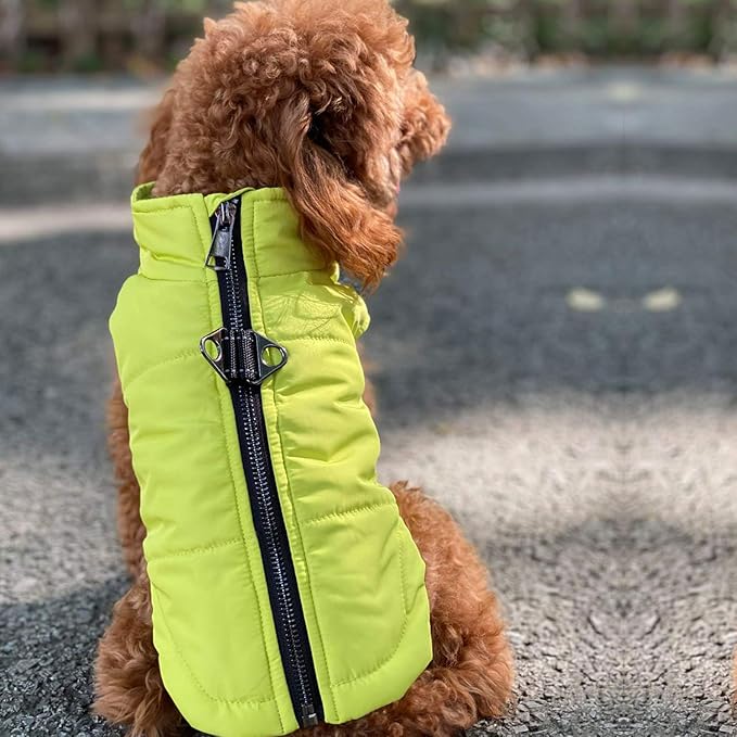 Winter Vest for Dogs, Waterproof & Windproof, Cotton Lined, Zippered Jacket, Breathable, Soft, Green, XS to L