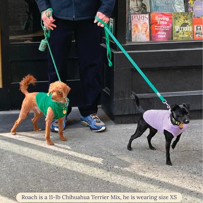 Little Beast Dog Clothes - Pet Clothes for Large, Medium, and for Small Dogs (Dog Shirts Come in Multiple Colors and Styles) - Size: Large Dogs, Purple