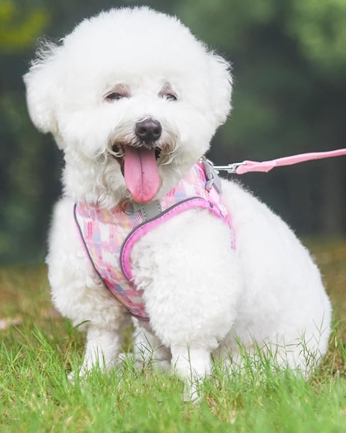 No-Pull Dog Harness - Cat & Puppy Harness Set, Step-In, Pink (L)