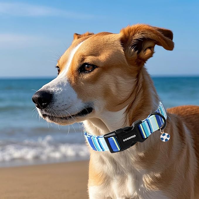 DOGWONG Blue Boy Dog Collar, Blue Stripe Dog Collar Adjustable Soft Natural Fabric Girl Pet Dog Collars Cute Boy Necklace for Small Medium Large Dogs