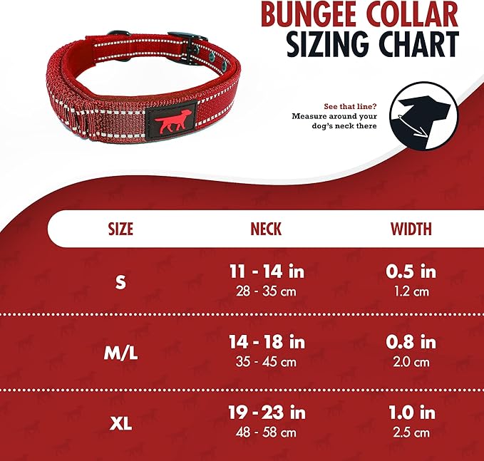 Heavy Duty Dog Collar with Handle | Ballistic Nylon Heavy Duty Collar | Padded Reflective Dog Collar with Adjustable Stainless Steel Hardware | Convenient Sizing for All Breeds