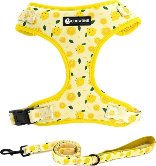 Dog Harness and Leash Set, Adjustable Dog Harness, Dog Leash, No Pull No Choke Puppy Harnesses for Walking Training for Small, Medium, Large Pet