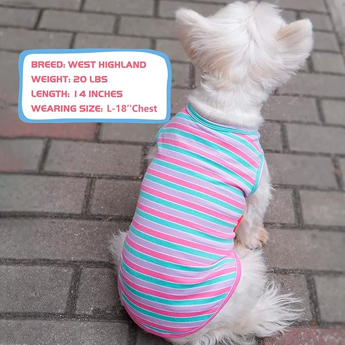 KYEESE 2Pack Dog Shirts Small Tee Soft for Small Dogs Striped T Shirt Lightweight Sleeveless Vest Cotton Tank Top Clothes, Large,Purple+Striped