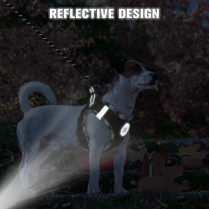 BEAUTYZOO Step in Dog Harness and Leash Set,Reflective Dog Harness No Pull No Choke Puppy Harness for Small Medium Large Dogs Cats,Soft Padded Mesh Vest Harnesses for Girl and Boy Pets,Black Plaid L