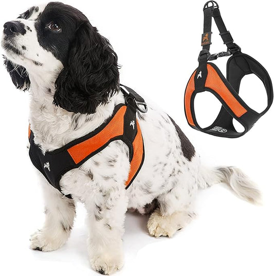 Gooby Escape Free Easy Fit Harness - Orange, X-Small - No Pull Step-in Patented Small Dog Harness with Quick Release Buckle - Perfect On The Go No Pull Harness for Small Dogs or Medium Dog Harness