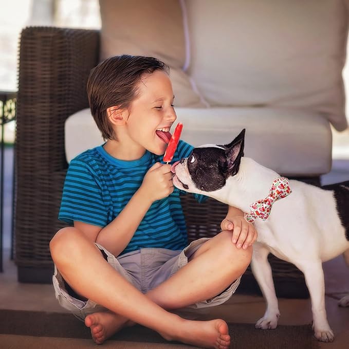 Lionheart glory Dog Collar, Dog Collar with Bow, Popsicle Print Girl or Boy Boy Dog Bowtie Collar Cute Pet Collar Gift for Small Dog