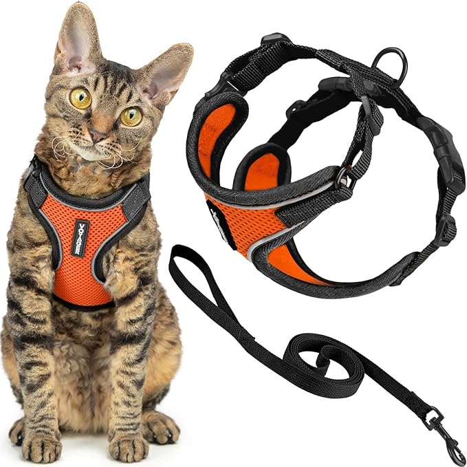 Voyager Escape Proof Cat Harness and Leash Set with Reflective Stitching, Neoprene Handle 5ft - Supports Small, Medium and Large Cats, Kittens for Walking by Best Pet Supplies - Black Trim-Orange, XS